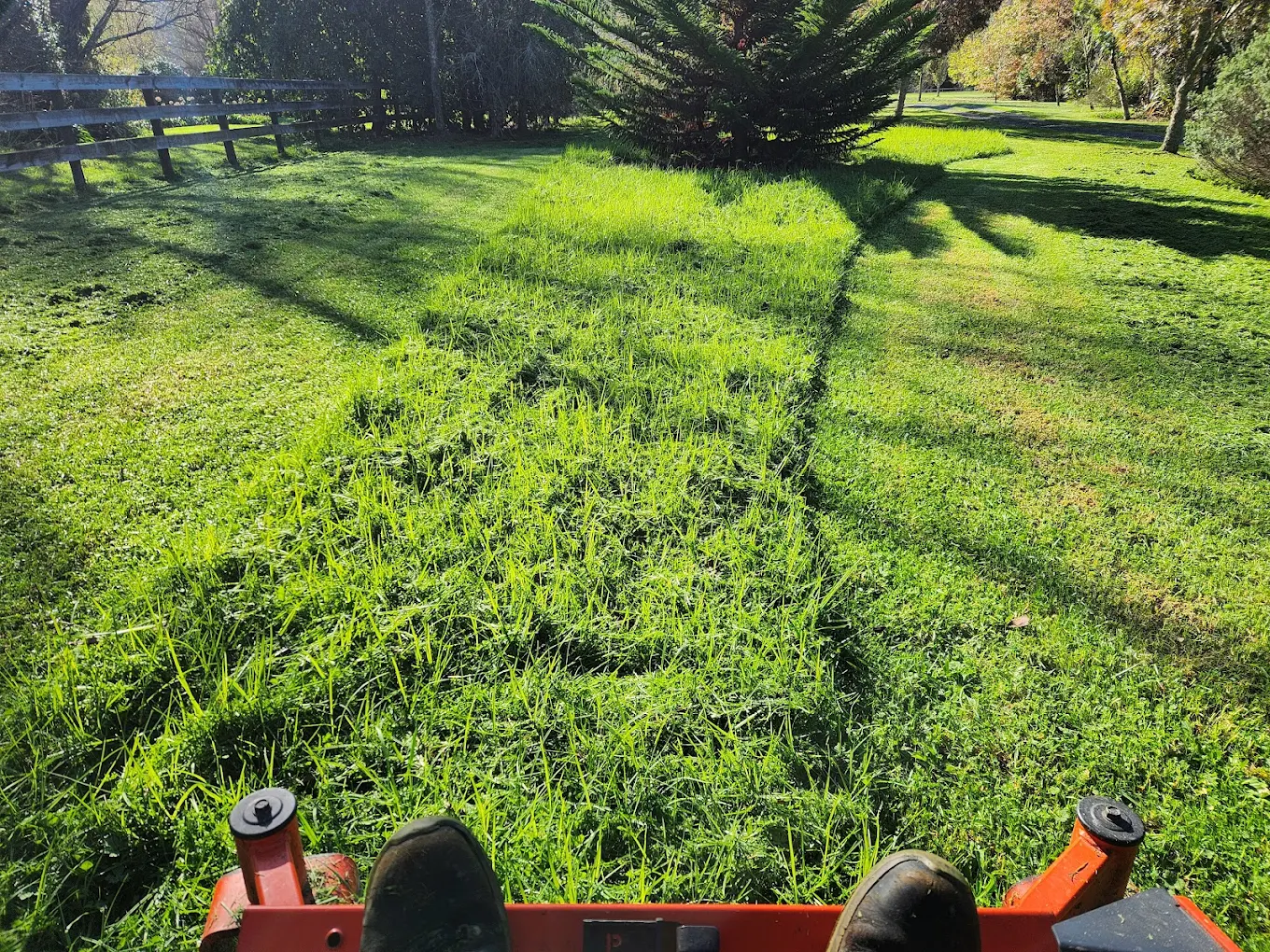 Ride-on mower part-way through cutting a long grass paddock